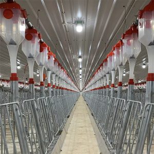 Автоматическая система кормления свиней с дисковой цепью